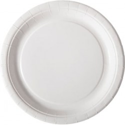 Carton blanc assiette ronde ø 22 cm NOP10022 /ttc/ sans laminage plastique BIO Pack DUNI© paquet 100 pièces VE 4